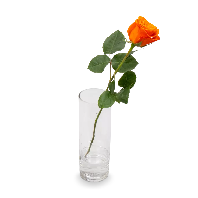 Bouquet of orange roses